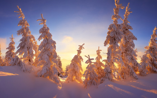 1164397 (a): :2880x1800